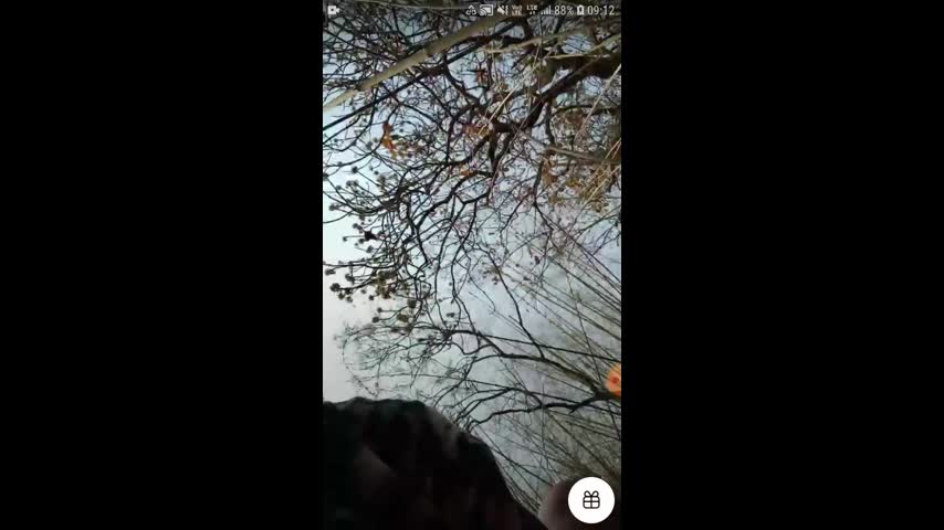 Daily spg STRIPCHAT collection 4242025-25