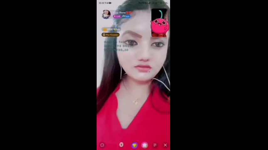 Myd random chamet collection 942025-394